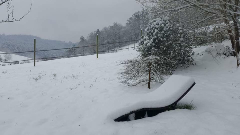 Agroturismo Iberreko Errota Muxika Dış mekan fotoğraf